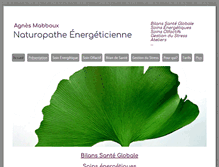 Tablet Screenshot of naturopathealyon.com